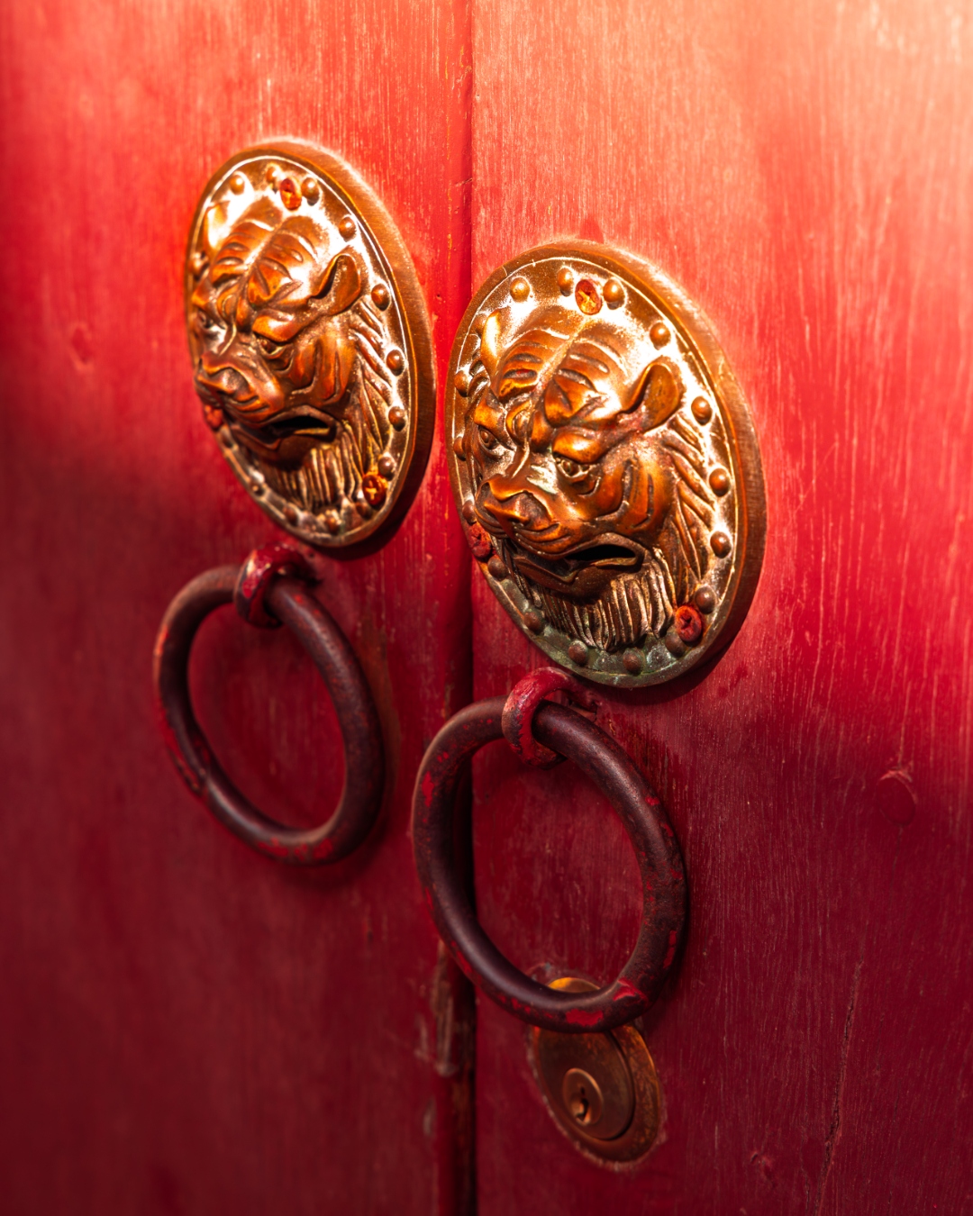 Bronze lion-head door knockers on weathered crimson wood — architectural detail photography by Samuel John Ford