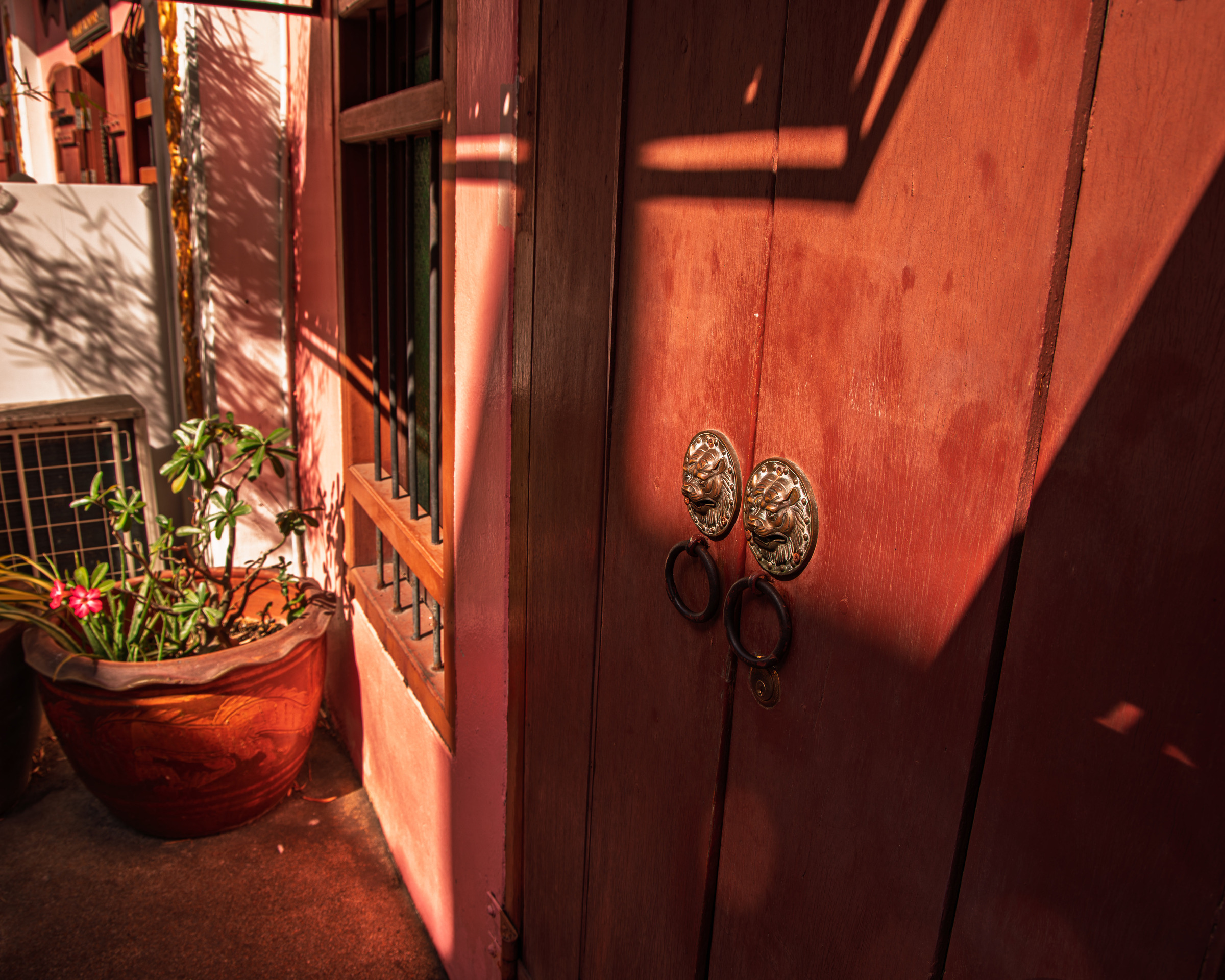 Red wooden double doors with ornate brass lion-head knockers and potted desert rose in warm light — architectural detail photography