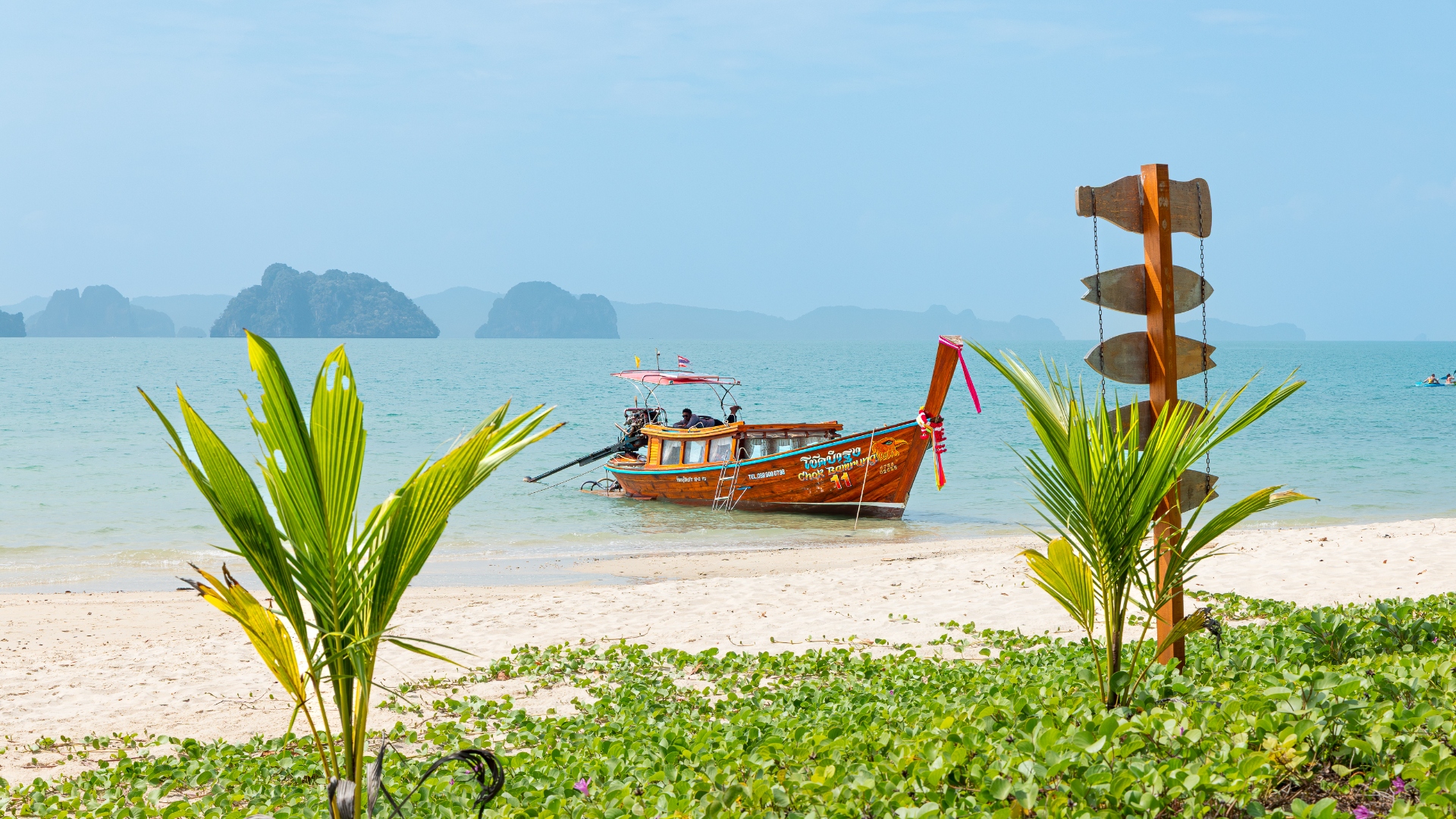 Longtail boat on shore framed by palm saplings and signpost, Thai islands — landscape photography