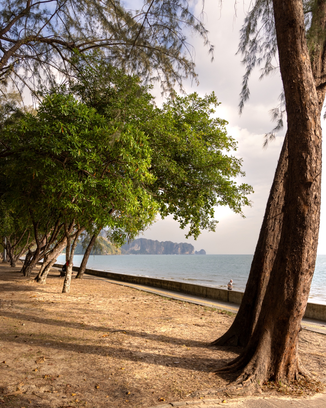 Shady coastal promenade with casuarina and tropical trees framing distant limestone cliffs, Ao Nang, Krabi — landscape photography