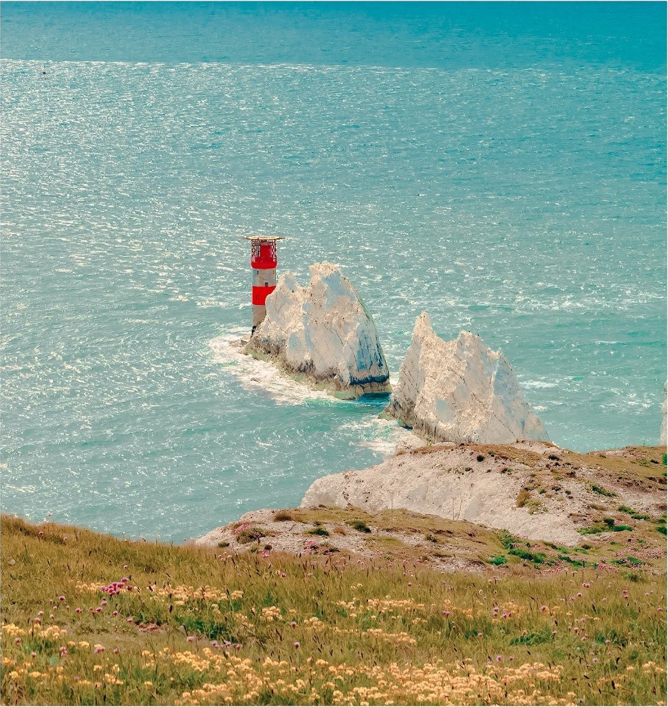 The Needles from clifftop with wildflowers, Isle of Wight