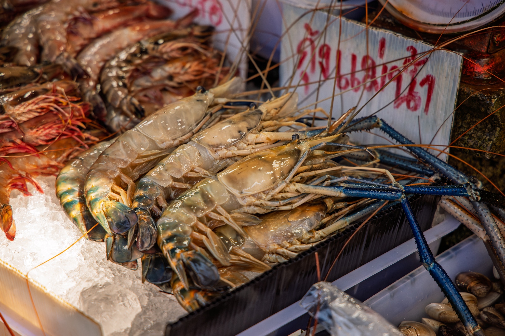 Fresh giant river prawns displayed on ice at a Thai seafood market with Thai script price signs — food photography by Samuel John Ford